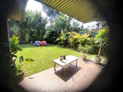 Capitol Park (D11), Terrace #607522391